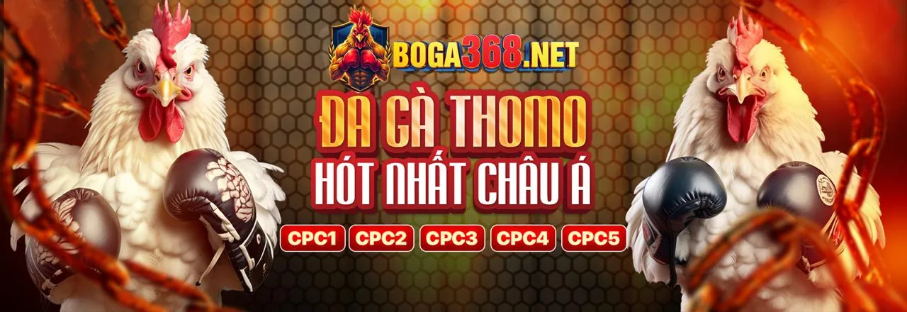 Đá Gà Trực Tuyến Luckywin 2026